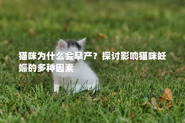 猫咪为什么会早产？探讨影响猫咪妊娠的多种因素