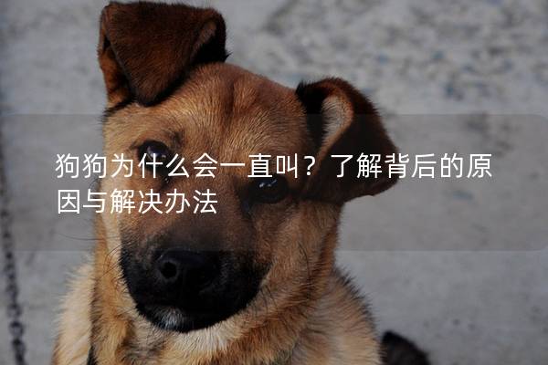 狗狗为什么会一直叫？了解背后的原因与解决办法