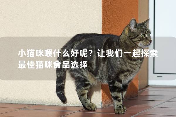 小猫咪喂什么好呢？让我们一起探索最佳猫咪食品选择