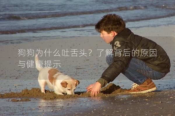 狗狗为什么吐舌头？了解背后的原因与健康提示