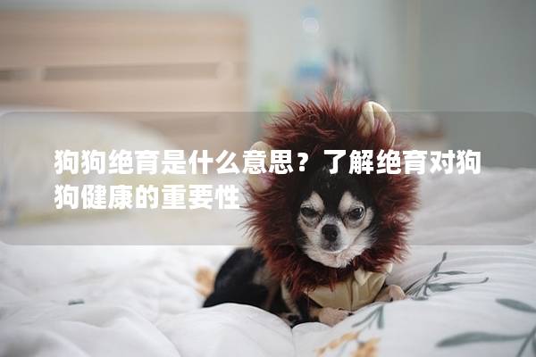 狗狗绝育是什么意思？了解绝育对狗狗健康的重要性