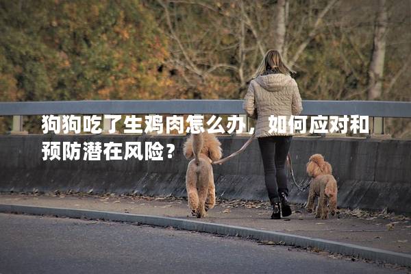 狗狗吃了生鸡肉怎么办，如何应对和预防潜在风险？