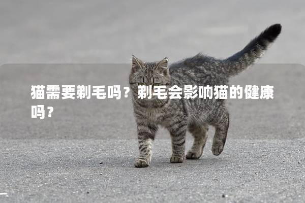 猫需要剃毛吗？剃毛会影响猫的健康吗？