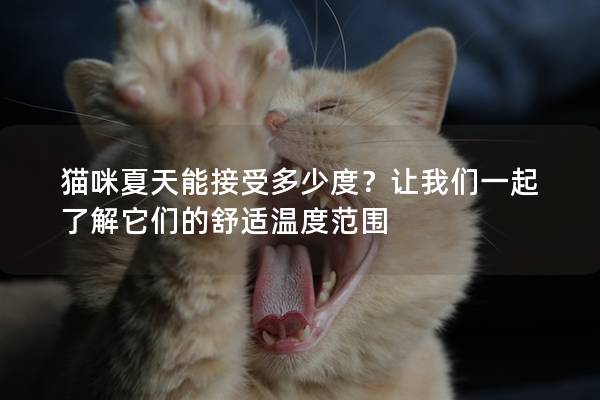 猫咪夏天能接受多少度？让我们一起了解它们的舒适温度范围