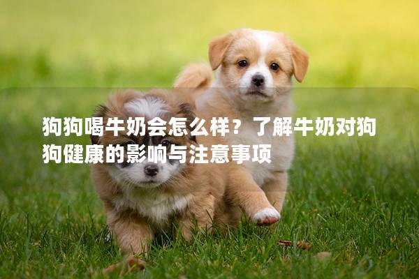 狗狗喝牛奶会怎么样？了解牛奶对狗狗健康的影响与注意事项