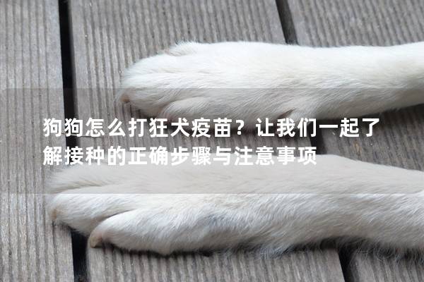 狗狗怎么打狂犬疫苗？让我们一起了解接种的正确步骤与注意事项