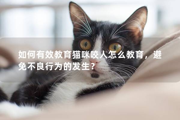 如何有效教育猫咪咬人怎么教育，避免不良行为的发生？