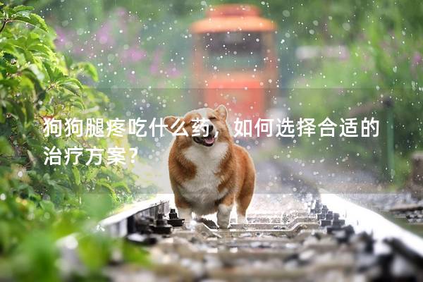 狗狗腿疼吃什么药,如何选择合适的治疗方案?