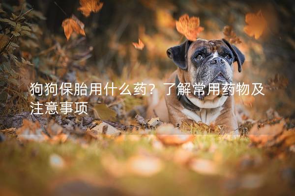 狗狗保胎用什么药？了解常用药物及注意事项