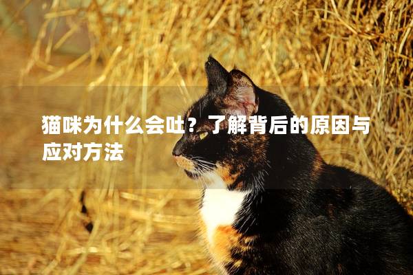 猫咪为什么会吐？了解背后的原因与应对方法