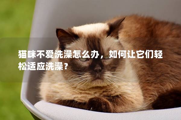 猫咪不爱洗澡怎么办，如何让它们轻松适应洗澡？