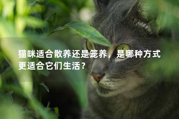 猫咪适合散养还是笼养，是哪种方式更适合它们生活？