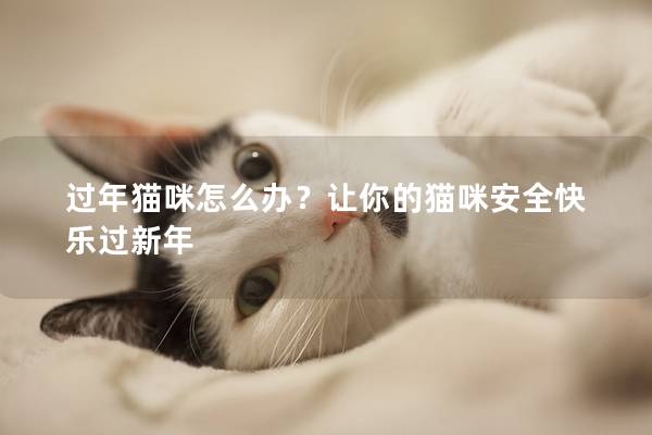 过年猫咪怎么办？让你的猫咪安全快乐过新年