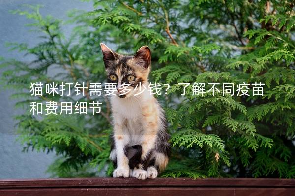 猫咪打针需要多少钱？了解不同疫苗和费用细节