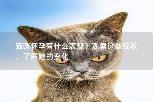 猫咪怀孕有什么表现？观察这些症状，了解她的变化