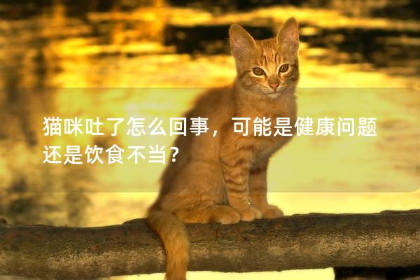 猫咪吐了怎么回事，可能是健康问题还是饮食不当？