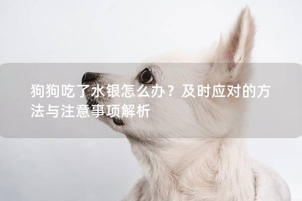 狗狗吃了水银怎么办？及时应对的方法与注意事项解析