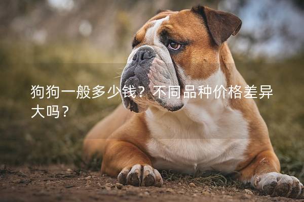 狗狗一般多少钱？不同品种价格差异大吗？