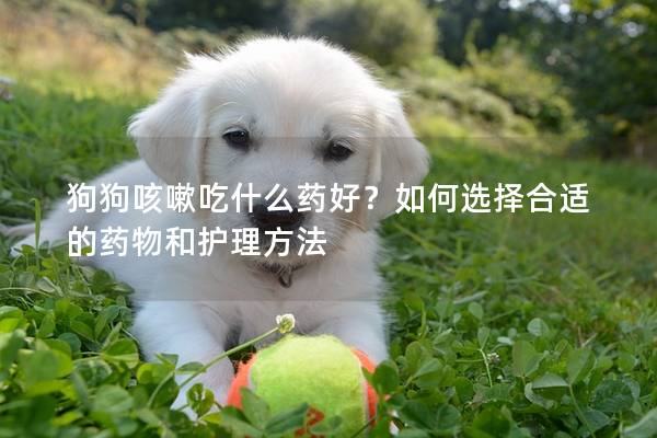 狗狗咳嗽吃什么药好?如何选择合适的药物和护理方法