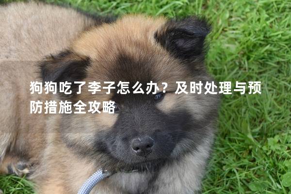 狗狗吃了李子怎么办？及时处理与预防措施全攻略