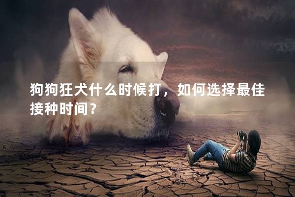 狗狗狂犬什么时候打,如何选择最佳接种时间?