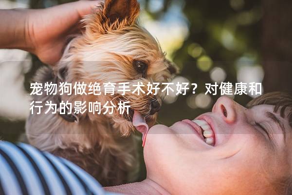 宠物狗做绝育手术好不好？对健康和行为的影响分析