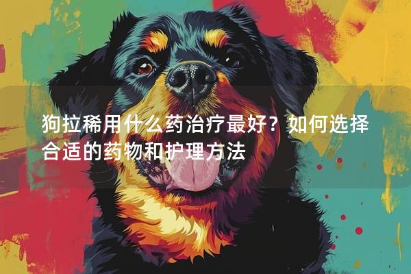 狗拉稀用什么药治疗最好？如何选择合适的药物和护理方法