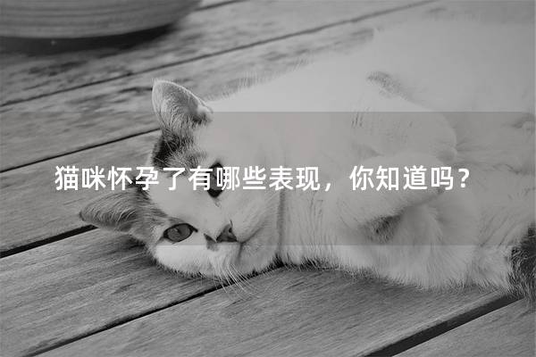 猫咪怀孕了有哪些表现，你知道吗？