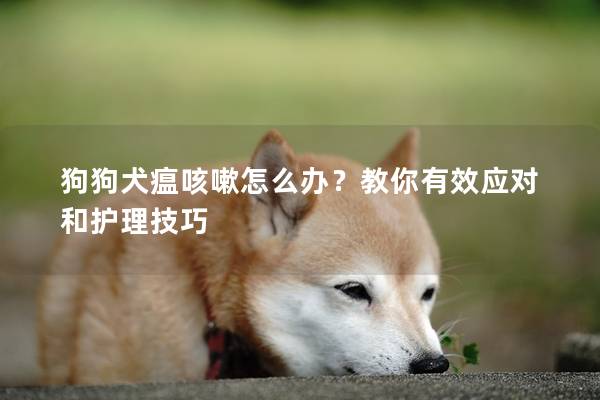 狗狗犬瘟咳嗽怎么办？教你有效应对和护理技巧