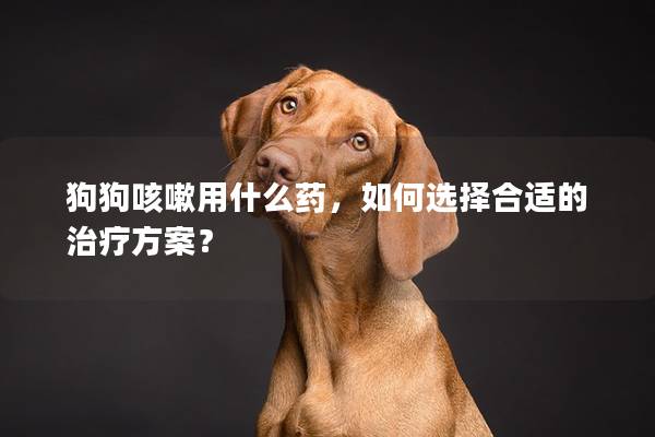 狗狗咳嗽用什么药，如何选择合适的治疗方案？