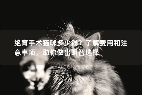 绝育手术猫咪多少钱？了解费用和注意事项，助你做出明智选择