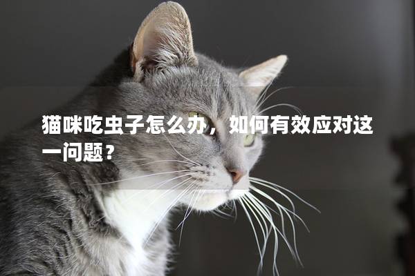 猫咪吃虫子怎么办，如何有效应对这一问题？