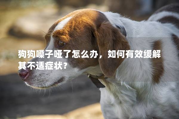 狗狗嗓子哑了怎么办，如何有效缓解其不适症状？