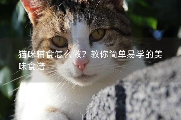 猫咪辅食怎么做?教你简单易学的美味食谱