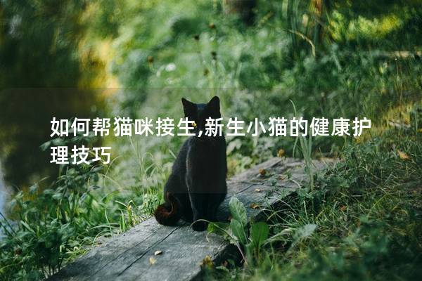 如何帮猫咪接生,新生小猫的健康护理技巧