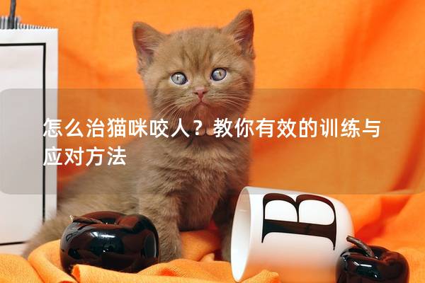 怎么治猫咪咬人？教你有效的训练与应对方法