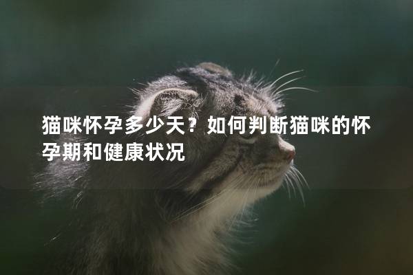 猫咪怀孕多少天？如何判断猫咪的怀孕期和健康状况