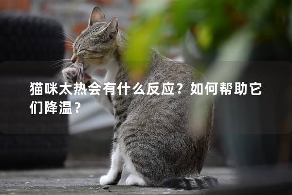 猫咪太热会有什么反应？如何帮助它们降温？