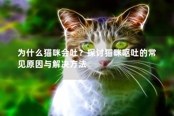 为什么猫咪会吐？探讨猫咪呕吐的常见原因与解决方法