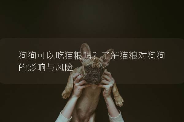 狗狗可以吃猫粮吗？了解猫粮对狗狗的影响与风险