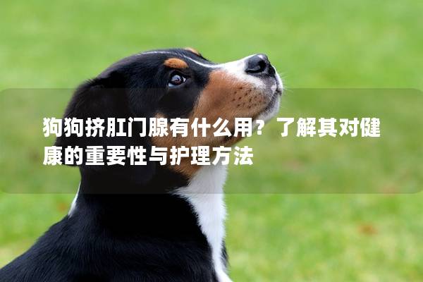 狗狗挤肛门腺有什么用？了解其对健康的重要性与护理方法