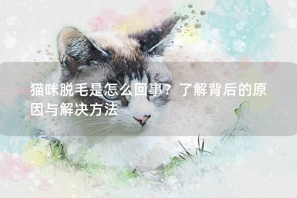 猫咪脱毛是怎么回事？了解背后的原因与解决方法