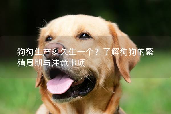 狗狗生产多久生一个？了解狗狗的繁殖周期与注意事项