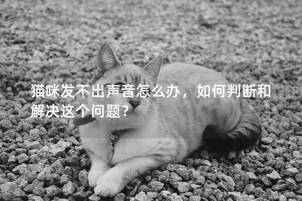 猫咪发不出声音怎么办，如何判断和解决这个问题？