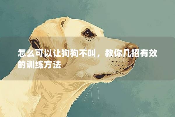 怎么可以让狗狗不叫，教你几招有效的训练方法