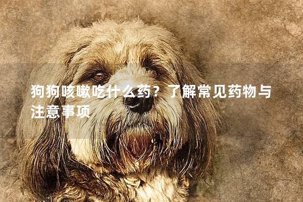 狗狗咳嗽吃什么药？了解常见药物与注意事项