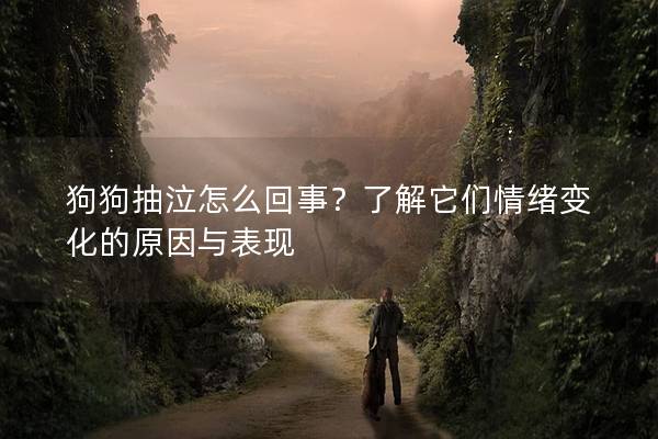 狗狗抽泣怎么回事？了解它们情绪变化的原因与表现