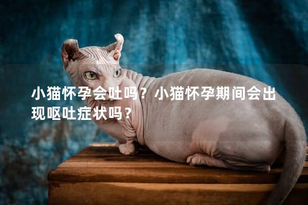 小猫怀孕会吐吗？小猫怀孕期间会出现呕吐症状吗？