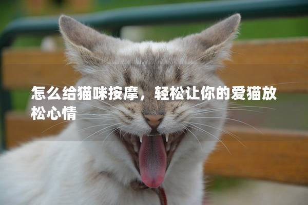 怎么给猫咪按摩，轻松让你的爱猫放松心情