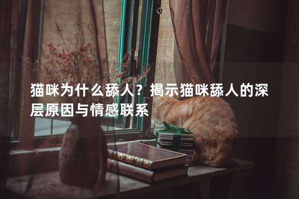 猫咪为什么舔人？揭示猫咪舔人的深层原因与情感联系